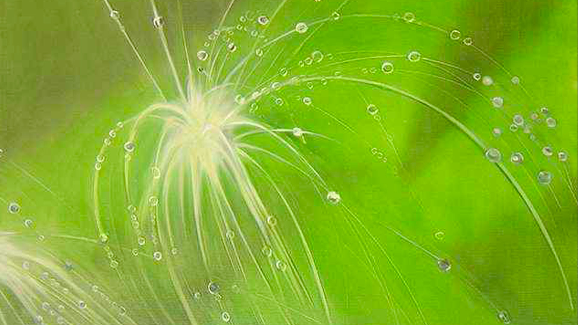 Les peintures de SAB